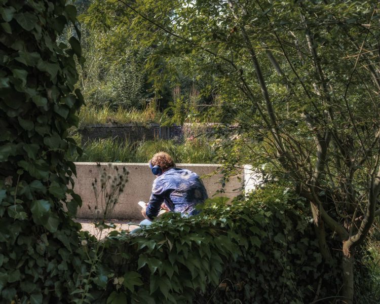 Op het eerste gezicht zie je alleen historische panden in het Arnhemse Spijkerkwartier. Maar deze wijk ligt vol verborgen groen: zes prachtige openbare tuinen waar je even vergeet dat je in een stad bent. Uit de serie SPIJKERKWARTIER 2021/2022 [week 39]